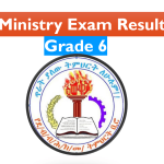 Southern Nations, Nationalities, and Peoples' Region (SNNPR) Education Bureau Result grade 6 2016/2024
